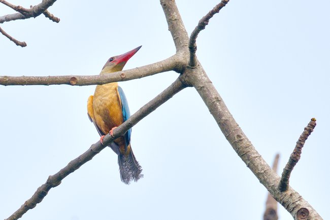 ../previews/018-R6II8917_01.jpg.medium.jpeg