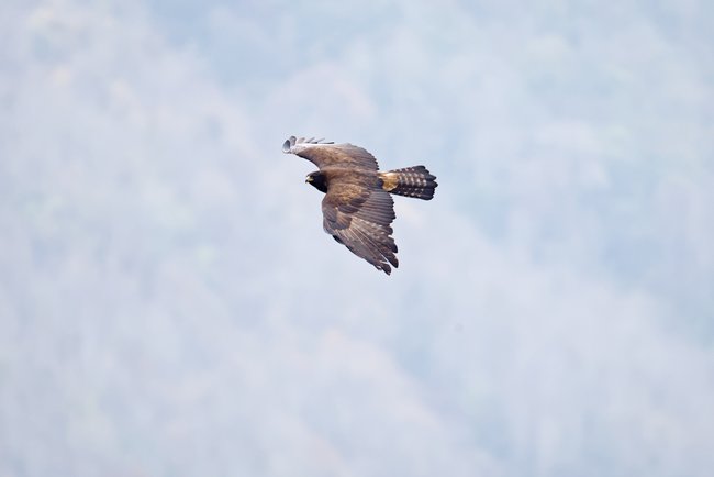 ../previews/023-R6II7937.jpg.medium.jpeg