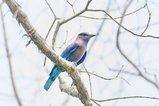 ../thumbnails/031-R6II8972.jpg.small.jpeg