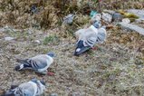 thumbnails/032-R6II7507.jpg.small.jpeg