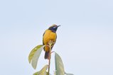 ../thumbnails/046-R6II8685.jpg.small.jpeg