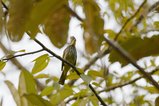 ../thumbnails/053-R6II8695.jpg.small.jpeg