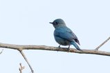 ../thumbnails/059-R6II8390.jpg.small.jpeg
